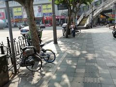 -三叶眼镜城批发市场(上海火车站店)