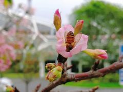 -文华公园(禅城区)