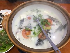 -全乐鱼馆·淳牌有机鱼直营店