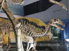 -湖南省地质博物馆