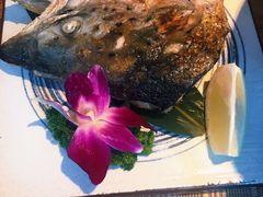 烤三文鱼头-酒井酱子·深夜食堂(东城汇店)