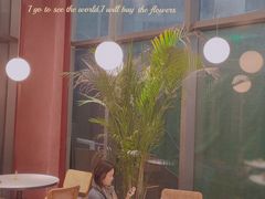 -Toris(LuOne凯德晶萃广场店)