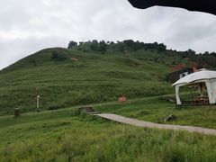 -关山草原