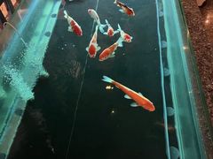 -樱蘭全息养生馆(三里屯店)