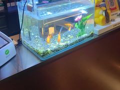-华夏良子·足道SPA艾灸(王府井店)