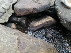 -溪口-滕头旅游景区