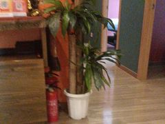 -Together·泰式按摩精油SPA(天山店)