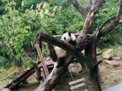 -宁波野生动物园