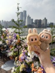 -花嫁丽舍婚礼殿堂(世博江景店)
