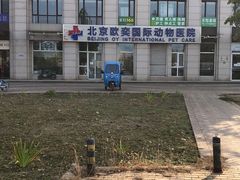 -欧奕国际动物医院