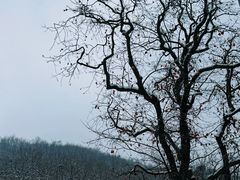 -蓝田九大碗民俗食府(蓝田店)