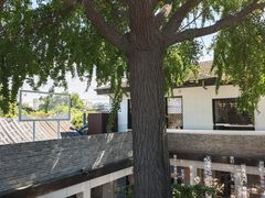 -自如ZSPACE四合院艺术餐厅
