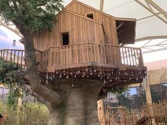 -杭州开元森泊度假乐园