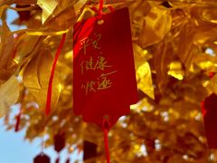 -迪卡侬(沙河店)