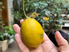 -懒鱼时光馆(沙坪坝店)