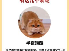 -泰洋动物医院·神经专科·磁共振·CT(天河公园总院)