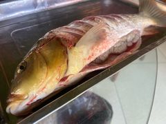 -姥家大锅台水库渔家