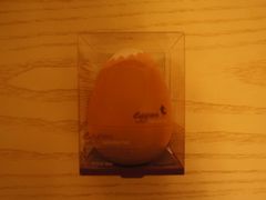 -乐天免税店(明洞店)