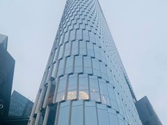 -紫峰大厦