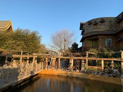 -呀路古热带植物园