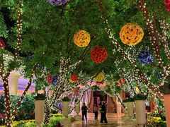 -拉斯维加斯永利酒店