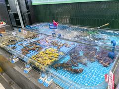 -双合园·海鲜水饺青岛菜(九水东路店)