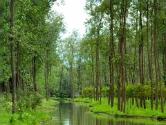 -合肥滨湖国家森林公园