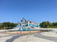 -石家庄极地海洋世界