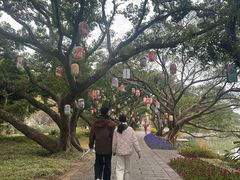 -江心屿景区