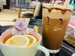 -逗柴咖啡屋·狗咖猫咖宠物桌游