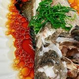 🦞🐟🦐🦑🐙🐡