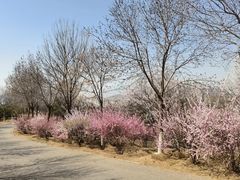 -元大都城垣遗址公园