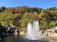 -北京西山国家森林公园