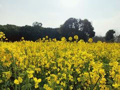 -明蜀王陵(地铁站)