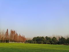 -詹记桃酥(融创茂店)