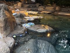 -湖泉半山温泉(湖泉生态园)