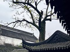 -拙政园