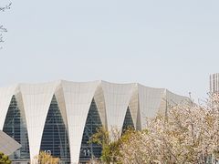 -东方体育中心(地铁站)