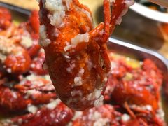 -杨氏青龙虾·羊蝎子(金盛路总店)
