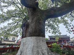 -新安江山水画廊风景区