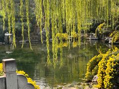 -济南大明湖景区