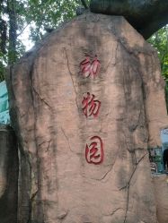-东山游乐园