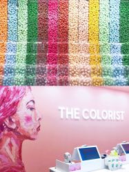 -THE COLORIST调色师