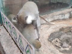 -泉州海丝野生动物世界