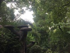 -汇龙潭