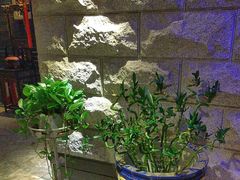 -樱蘭全息养生馆(三里屯店)