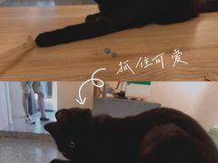 -士多咖啡·Stop Coffee