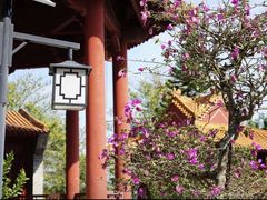 -南沙天后宫景区