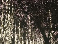 -大雁塔北广场音乐喷泉