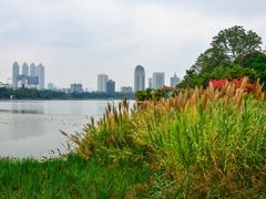 -南宁南湖公园